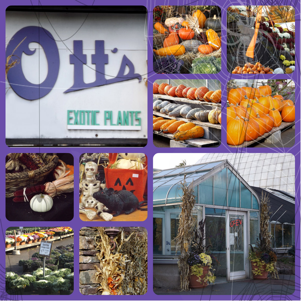 Ott's Exotic Plants Coupons near me in Schwenksville, PA 19473 | 8coupons