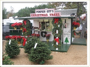 Christmas Tree Coupons 2022 Rancho Santa Margarita Pumpkin City Christmas Trees Coupons Near Me In Rancho Santa Margarita, Ca  92688 | 8Coupons